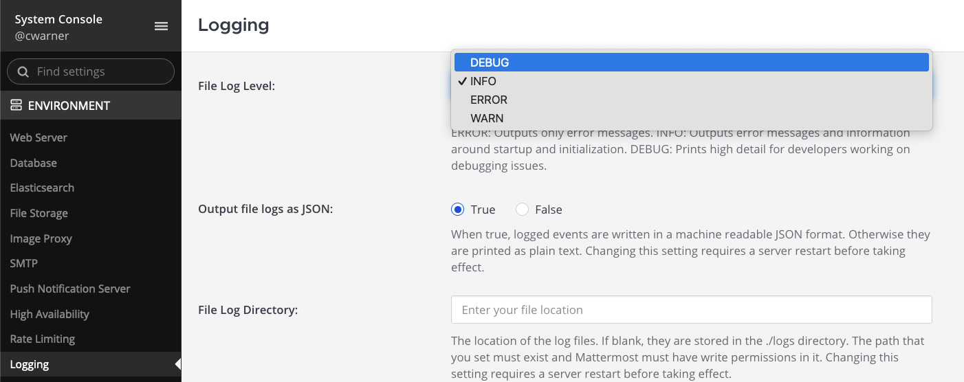 A screenshot of the System Console page where Mattermost system admins can enable and disable debug logging.