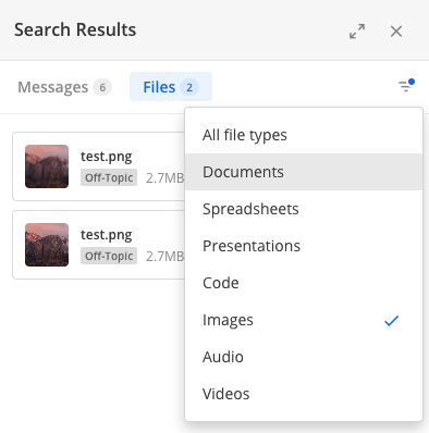 You can filter search results by file type.
