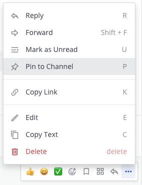 You can pin messages to make them easy to return to later.