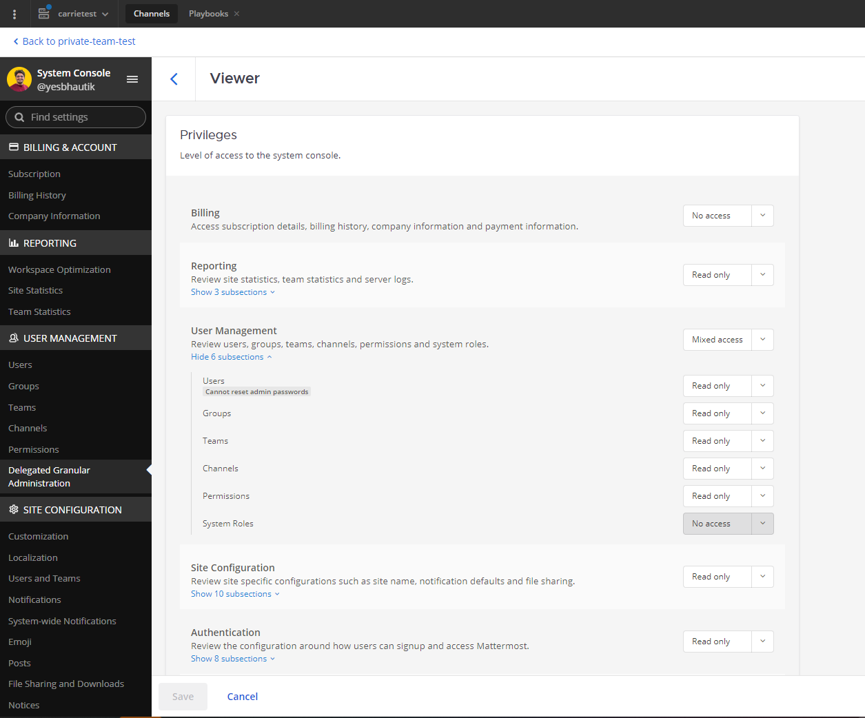 On the Viewer page, restrict user access to the Team Statistics page by expanding the Reporting section, setting System Statistics and Server Logs to No Access, and setting all other privileges to No Access.